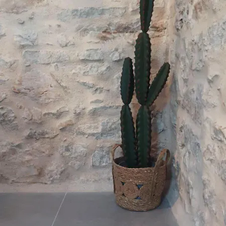 Pyrrichos Stone House